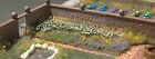 1207 Busch Oxeye Daisie Plants 4001738012071