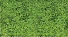 1554 Heki Foliage Pad 4005950015544