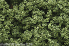 182 Woodland Scenics Clump Foliage 724771001829