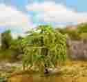272-181328 Faller Premium Willow Tree