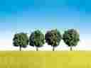 272-181412 181412 Faller Gmbh Deciduous Trees Small 2-1 2 Pkg 4