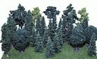 303 Heki Assorted Trees 4005950003039