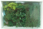 304 Heki Assorted Trees 3 4005950003046