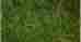 0228992 31002 Bachmann Bachmann-static Grass 6mm Dk Green 022899310022