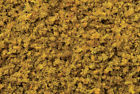 0228998 32805 Bachmann Coarse Ground Cover Golden 022899328058