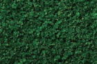 32855 Bachmann Ho Medium Forest 022899328553