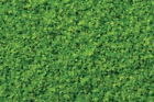 0228994 32861 Bachmann Ho Medium Spring Green Turf 022899328614