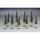 Bac32103 4 3 Trees Conifer 9 . Bachmann