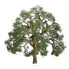 94348 4pk Products Pro 1.5 Live Scenery Oak Jtt "