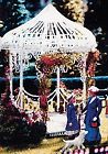 501 Scenic Express Flowering Vine Kit 646074005017