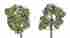 60508 The N Scale Architect Trees Spring Blssm Wht 6