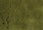 6114 Scenic Express Light Green 646060061140