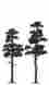 6142 Busch Pine Trees