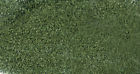 6154 Scenic Express Olive Green 646060061546