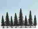 48620 64-5-13 Noch Tt Scale Tree Assortment Model Fir 3-13 64 8-13cm Tall 25