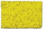 873b Scenic Express Aspen Yellow Crs 646074087327