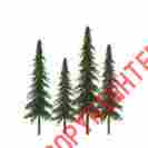 7345606 92028 Jtt Scenery Products Super Scenic Tree Spruce 6-10 12 734560920286