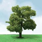7345605 92210 Jtt Scenery Products Sycamore Trees