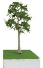 7345601 92416 Jtt Scenery Products Cypress Trees