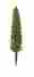 7640500 94021 Plastruct Tree Poplar 1 4 5 764050940210