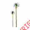 7345607 94238 Jtt Scenery Products Professional Series Palm 3 734560942387