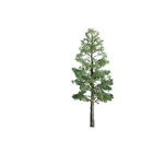 7345603 94294 Jtt Scenery Products Professional 734560942943