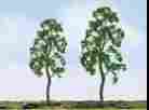 7345603 94418 Jtt Scenery Products Products-professional Tree Birch 3 734560944183
