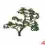 94429 Jtt Scenery Products Professional Tree Beech 1.5 4 734560944299