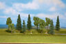 949-1156 Walthers Mixed Deciduous Pine Trees Pack Of 616374111046