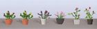 7345603 95565 Jtt Scenery Products Flowering 734560955653