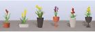 7345607 95567 Jtt Scenery Products Flowering 734560955677