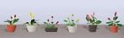 7345601 95569 Jtt Scenery Products Flowering 734560955691