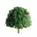 7345606 96017 Jtt Scenery Products Professional 5 Oak Tree 1 734560960176