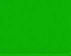 Bad16203 Badger Modelflex Paint John Deere Green 047459162033