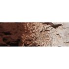 C1222 Woodland Scenics Earth Color Pigment Burnt Umber Bottle 724771012221