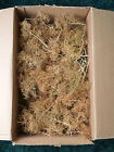 Ex0215 Case 8 "- Scenic Value Trees Super 5 " Express