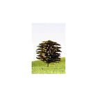 Dx200 Deciduous Multi-color 25mm Peco Trees 12