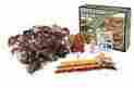 F1663 Woodland Scenics Autumn Mix Forest Canopy 724771016632