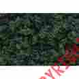 Fc1636 Woodland Scenics Medium Green Underbrush Shaker Bottle 57.7 Cu In 724771016366