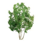 Jtt94255 Jtt Scenery Products Professional Tree Snow Gum 734560942554