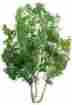 Jtt94256 94256 Jtt Professional Tree Snow Gum 2 4 734560942561