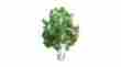 Jtt94257 94257 Jtt Professional Tree Snow Gum 2.5 3 734560942578
