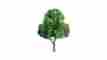 Jtt94297 94297 Jtt Professional Tree Deciduous 1.5 4 734560942974