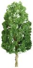 Jtt94319 Sycamore Tree Jtt 2 " Professional 4