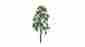 Jtt94419 94419 Jtt Professional Tree Birch 4 2 734560944190