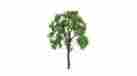 Jtt94425 94425 Jtt Professional Tree Ash 3 2 734560944251
