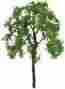 Jtt94426 94426 Jtt Professional Tree Ash 4 2 734560944268