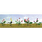 Jtt95561 Jtt Scenery Products Flowering Plants Assortment 734560955615