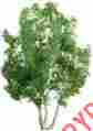 Jtt96015 96015 Jtt Professional Tree Snow Gum 6 1 734560960152