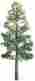 Jtt96027 96027 Jtt Professional Tree Pine 8 1 734560960275